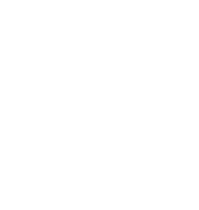 logo BSE